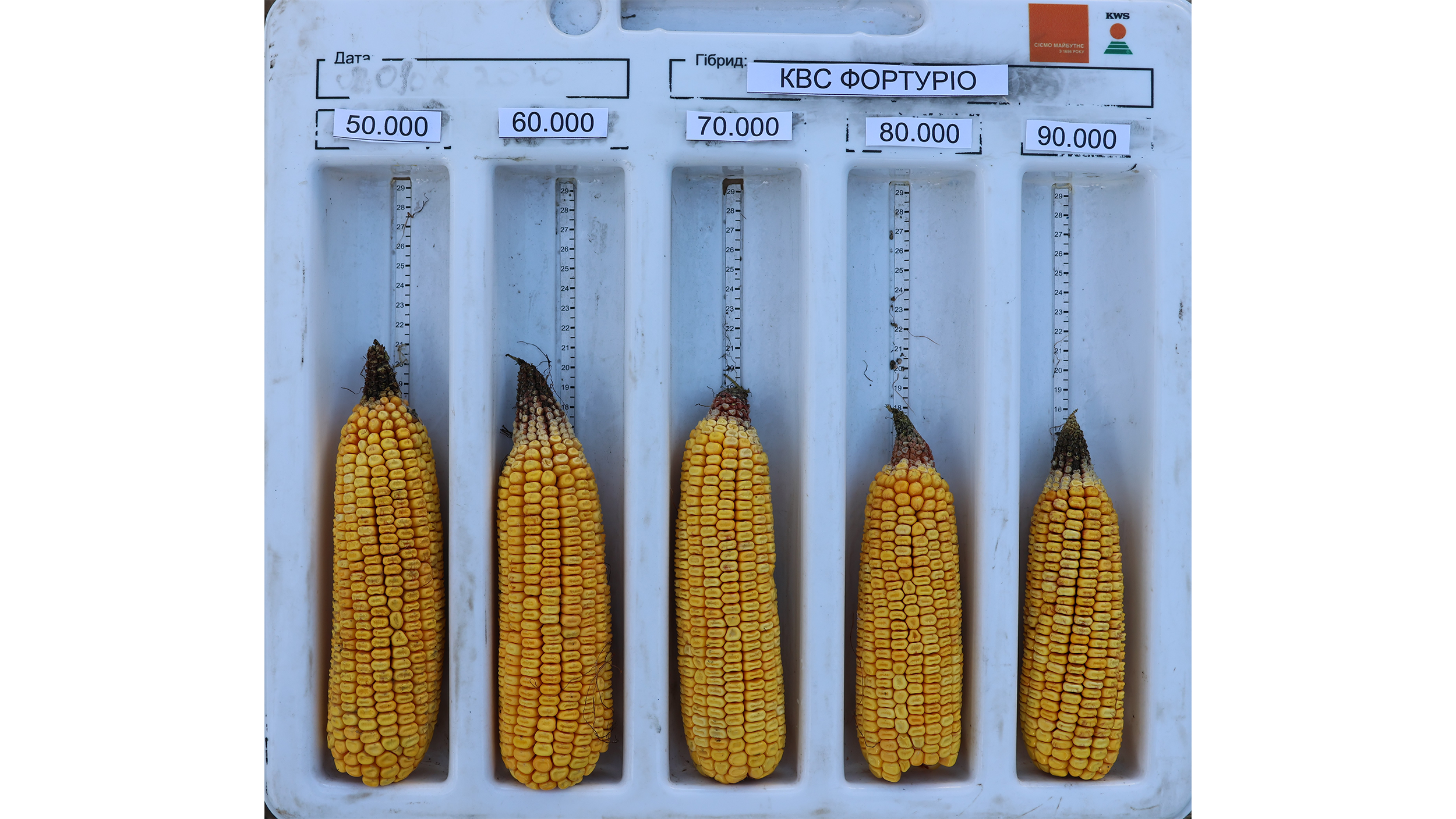 Рис. 18 Качани КВС ФОРТУРІО