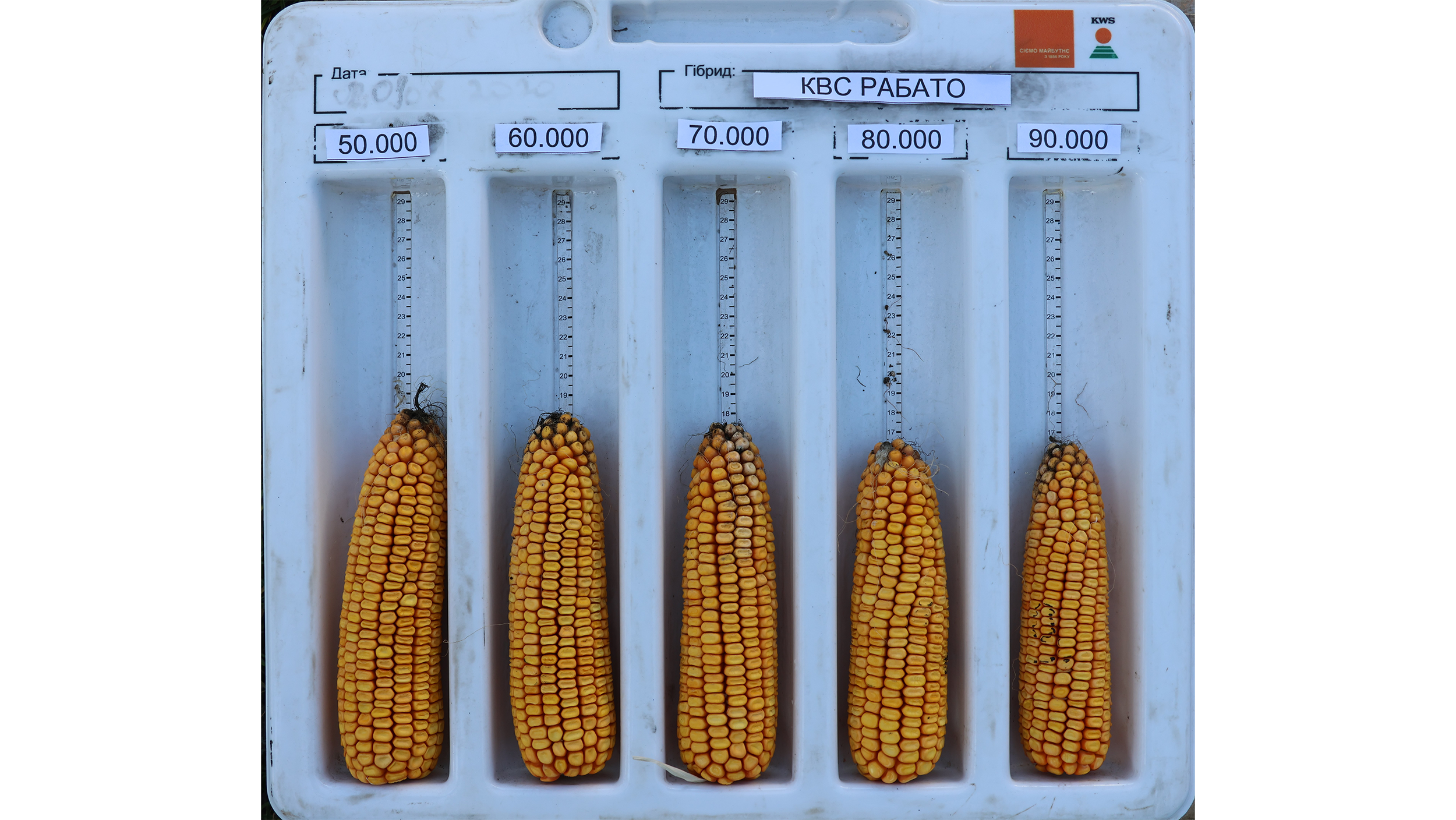 Рис. 8 Качани КВС РАБАТО