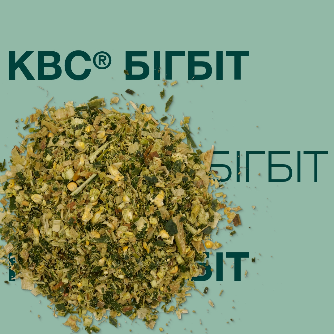 KWS_BIGBIT_Keyvisual_UA_1x1.jpg