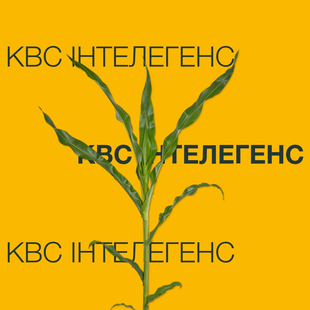 KWS_INTELEGENS_Keyvisual_UA_1x1.jpg