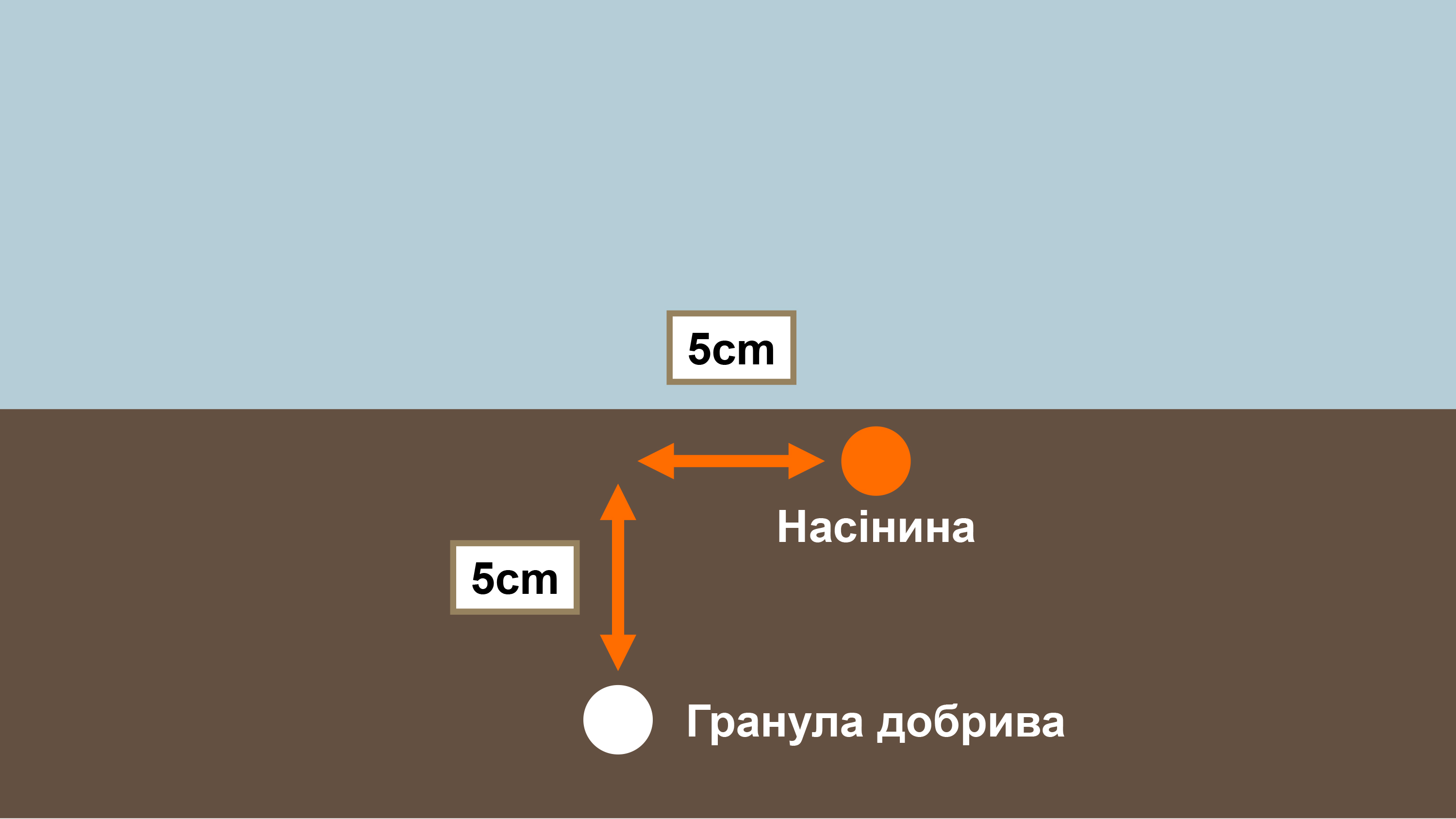 Джерело: KWS SAAT SE