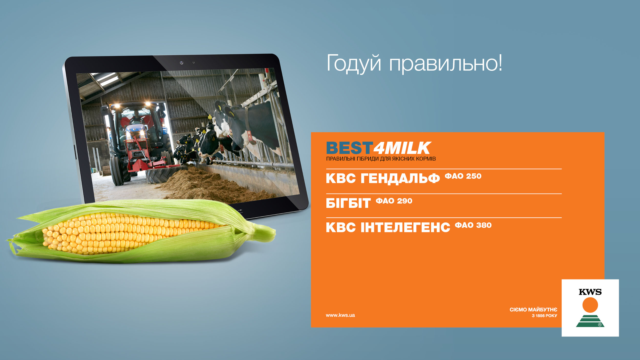 Силосні гібриди кукурудзи KWS лінійки BEST4MILK