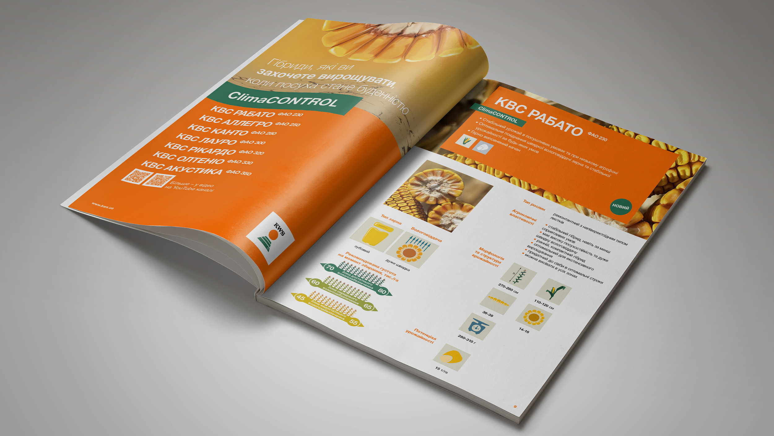 kws-katalog-corn-2025.png