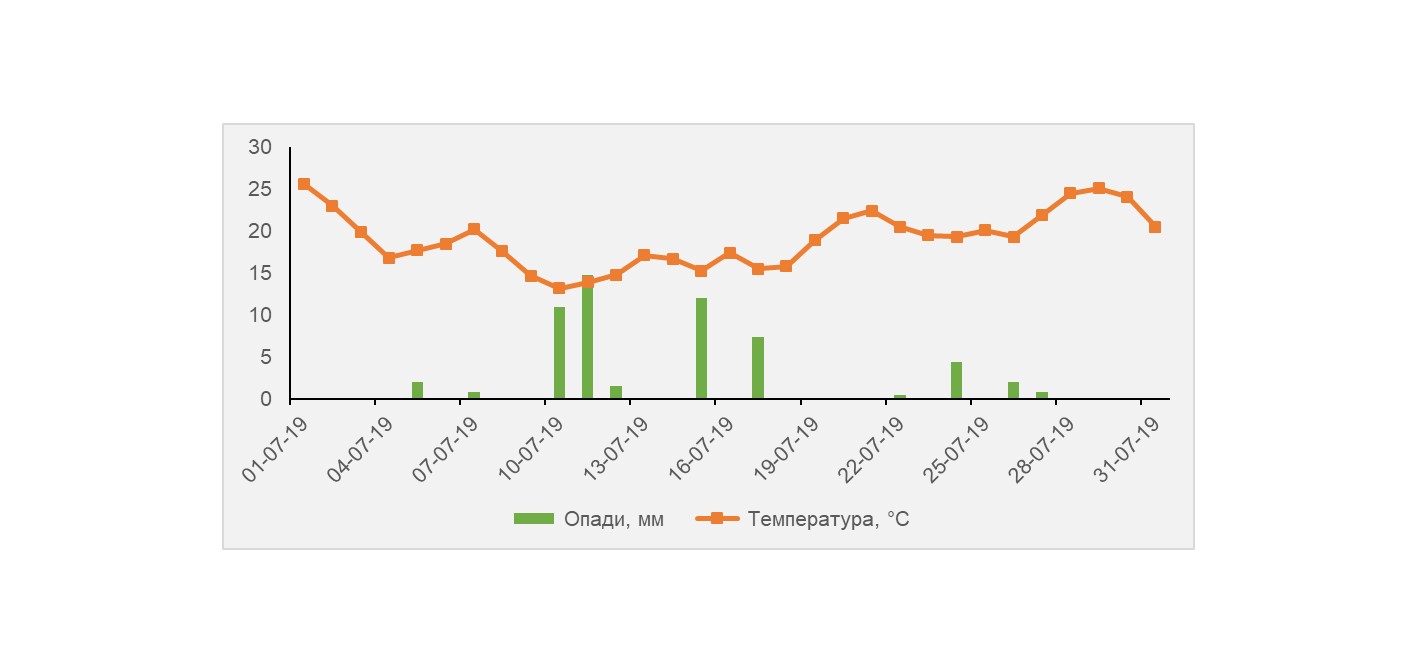 Рис. 1. Температурний режим та опади у липні 2019 року, Калинівський р-н, Вінницька обл. 