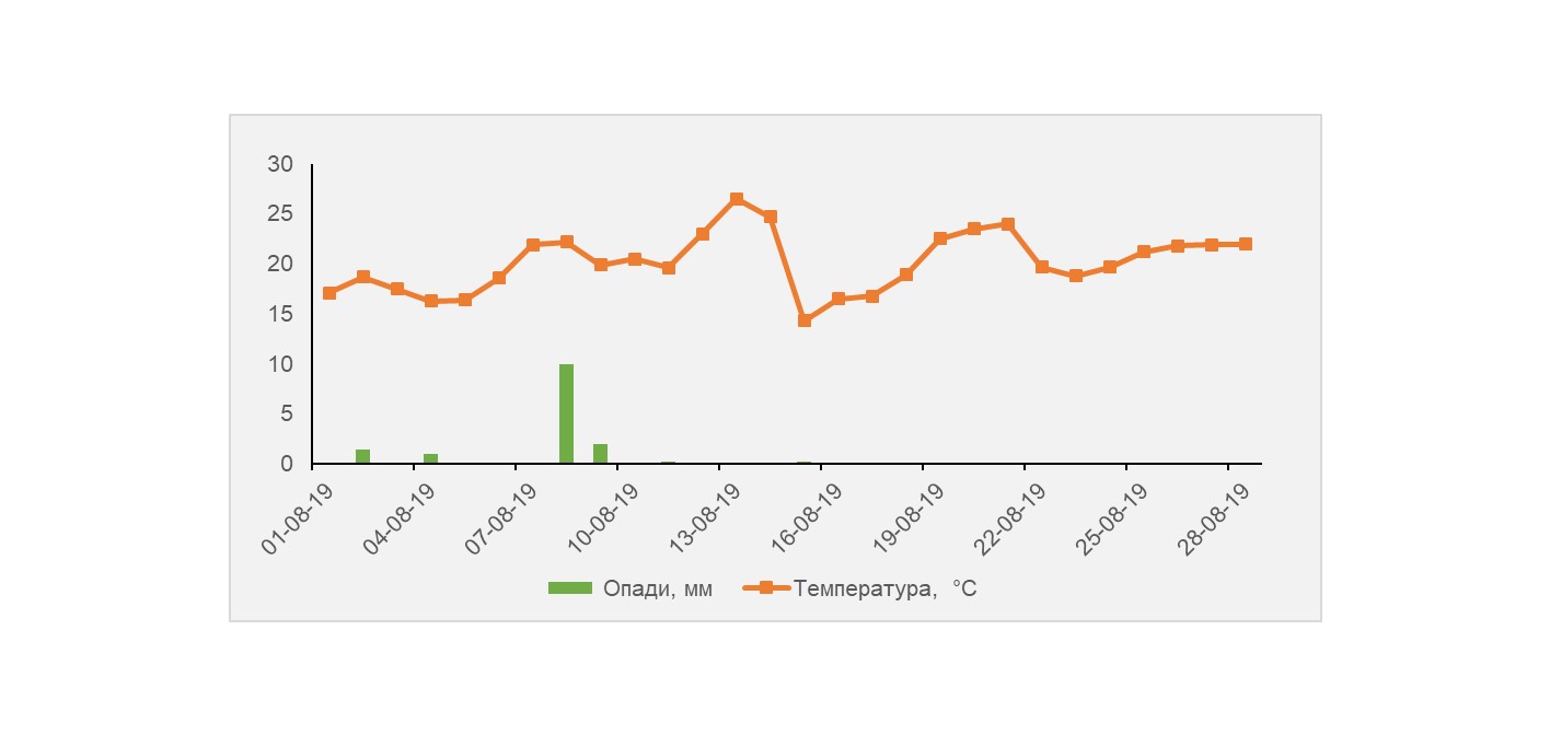 Рис. 2. Температурний режим та опади у серпні 2019 року, Калинівський р-н, Вінницька обл. 