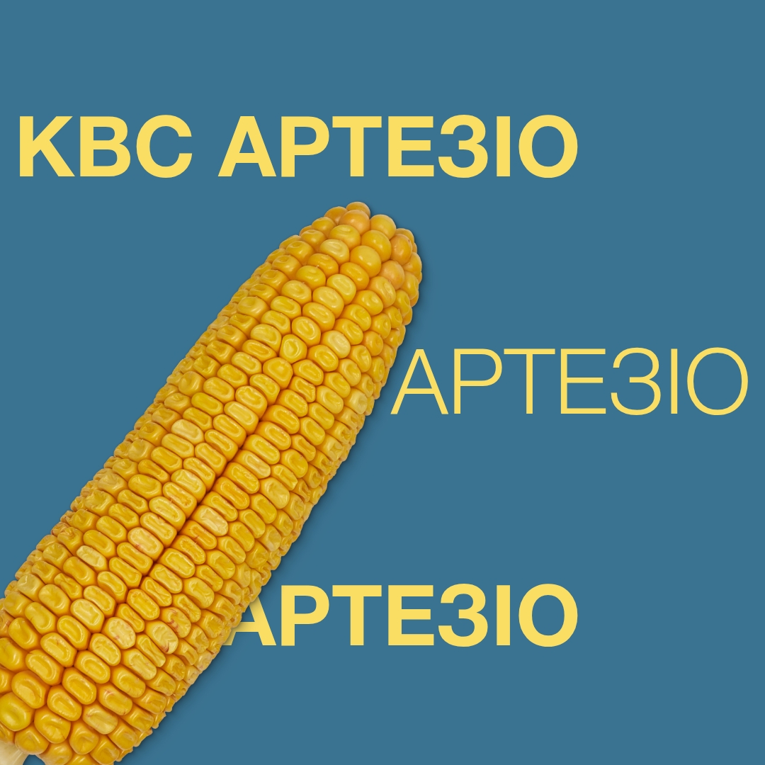 kws_artezio_keyvisual_ua_1x1.jpg