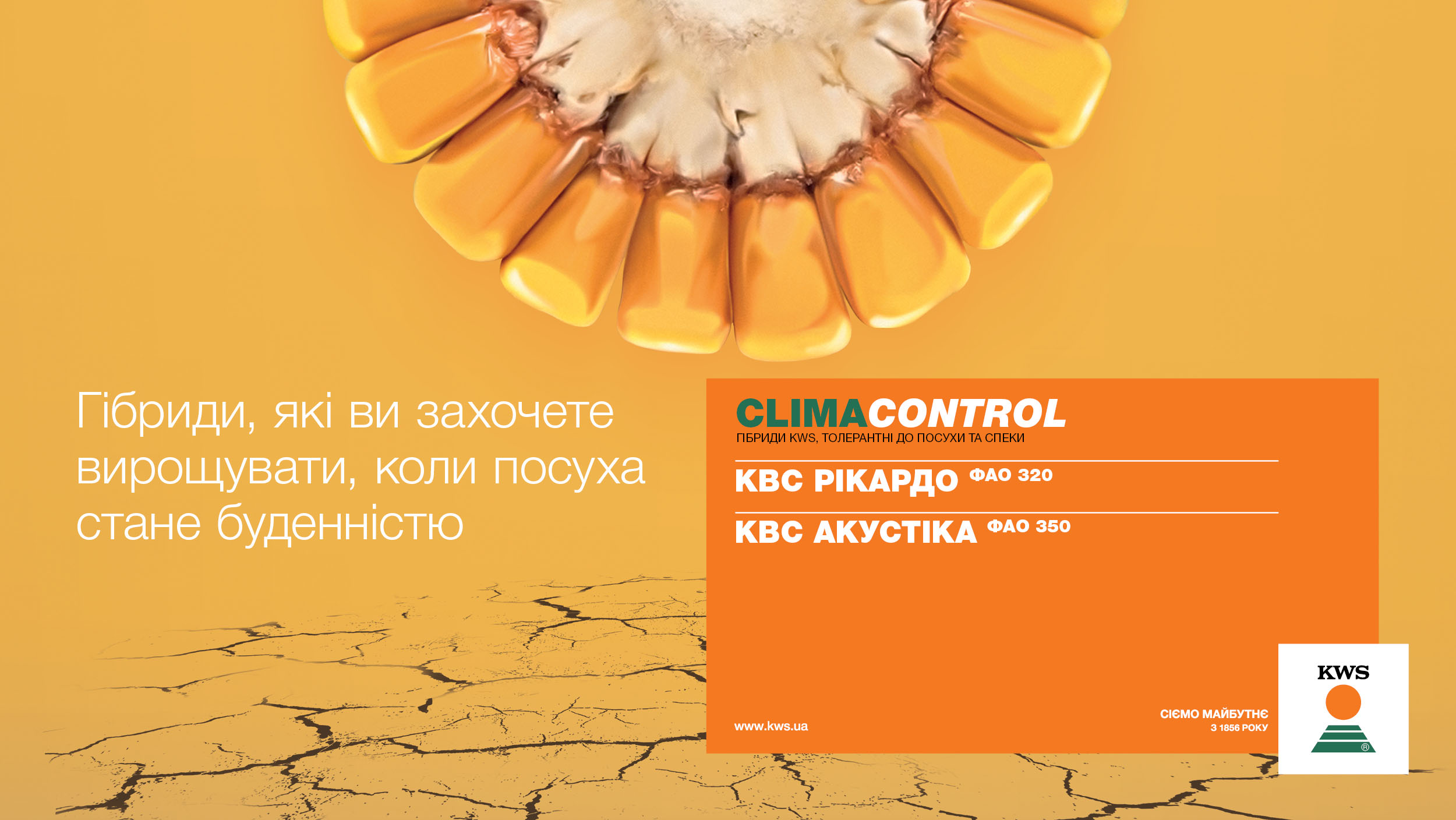 Гібриди кукурудзи KWS лінійки CLIMACONTROL