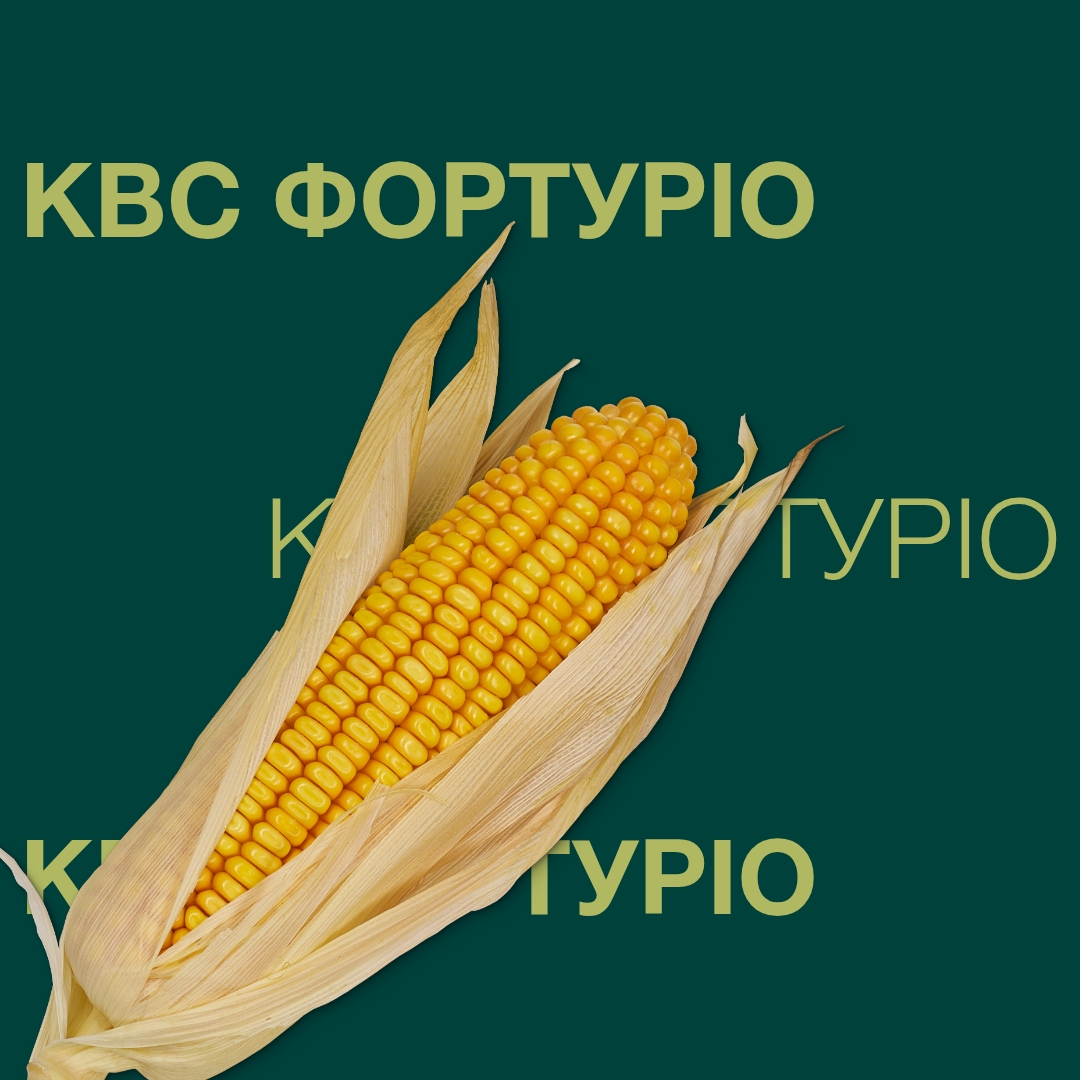 kws_forturio_keyvisual_ua_1x1.jpg
