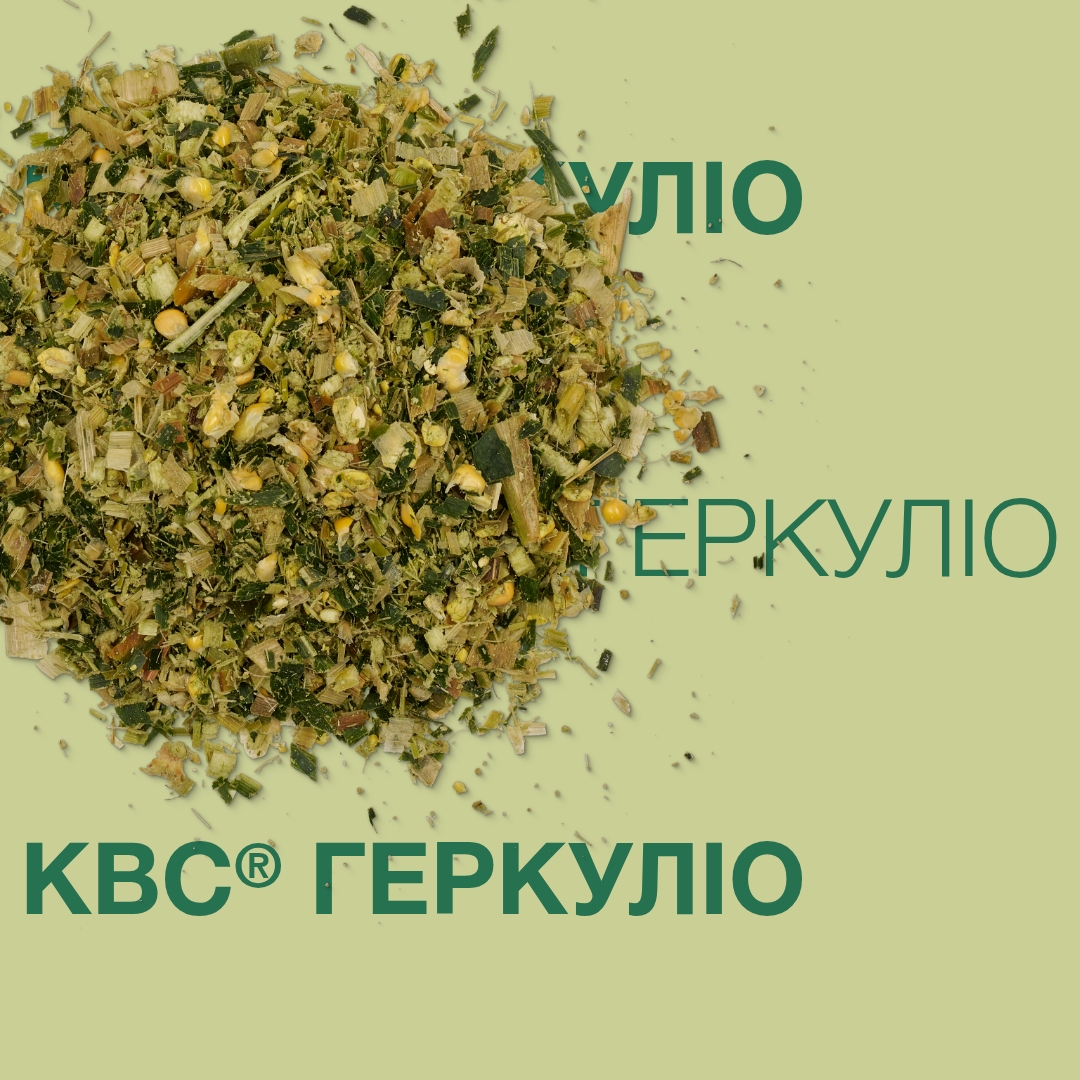 kws_gerkulio_keyvisual_ua_1x1.jpg