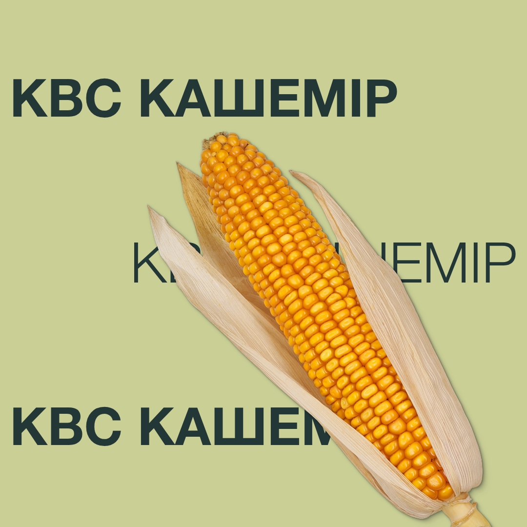 kws_kasemir_keyvisual_ua_1x1.jpg