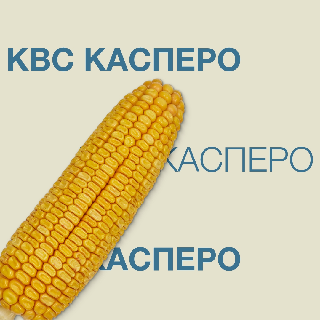 kws_kaspero_keyvisual_ua_1x1.jpg