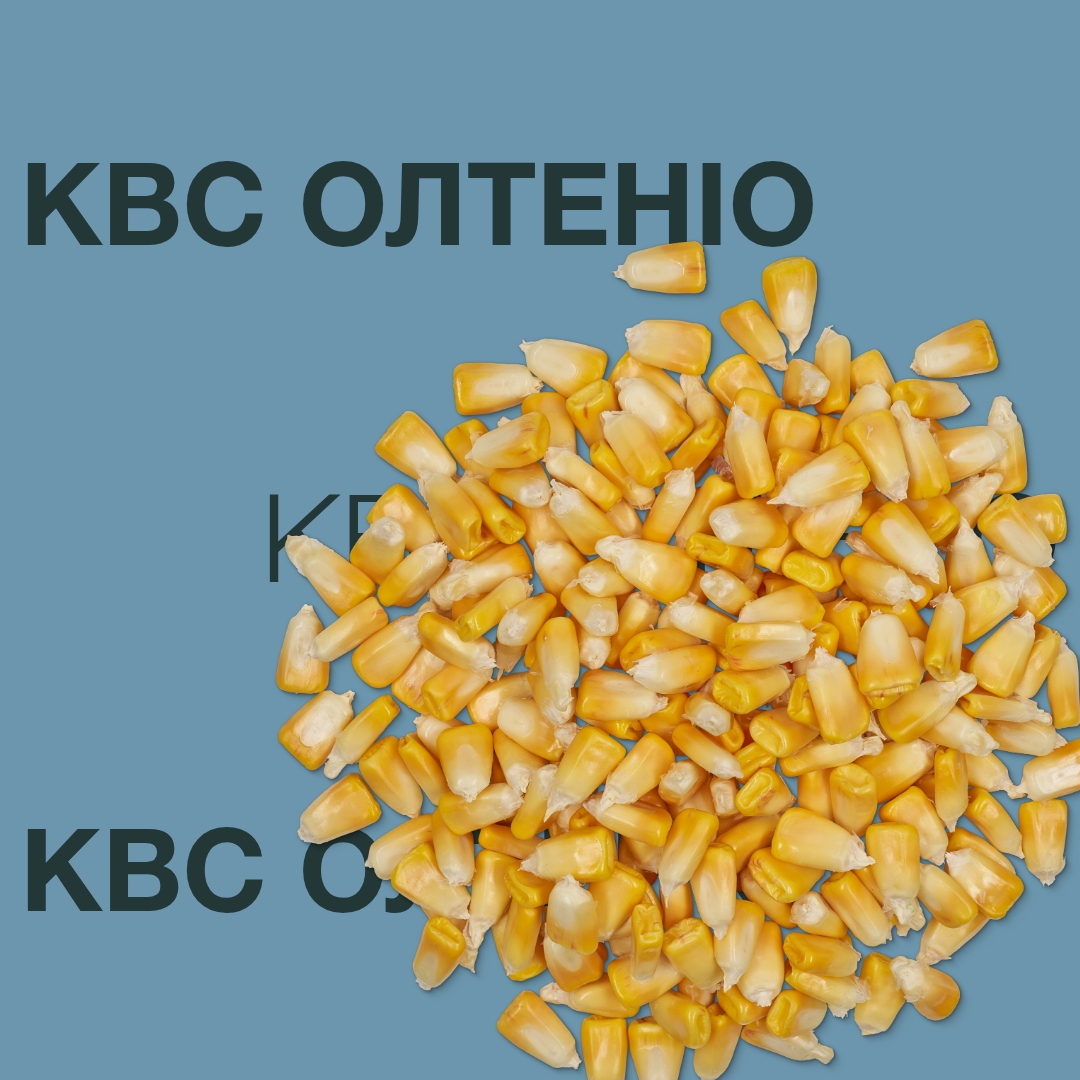 kws_oltenio_keyvisual_ua_1x1.jpg