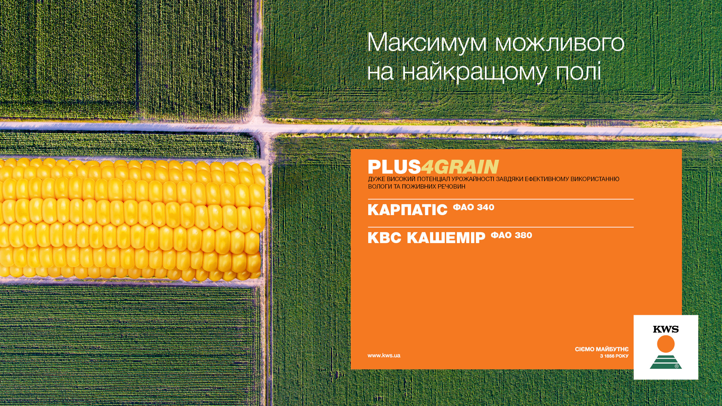 Гібриди кукурудзи KWS лінійки PLUS4GRAIN