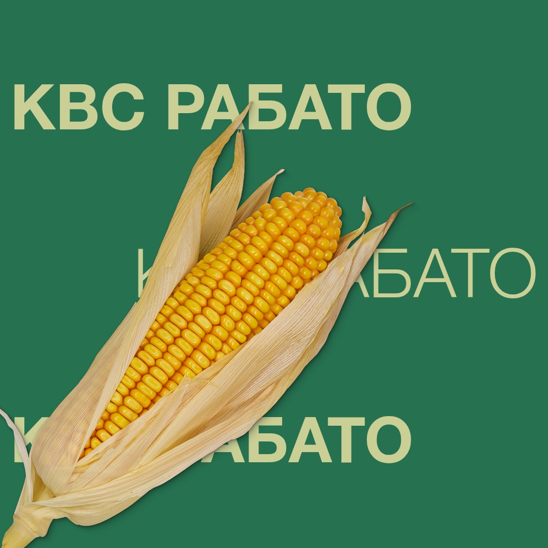 kws_rabato_keyvisual_ua_1x1.jpg