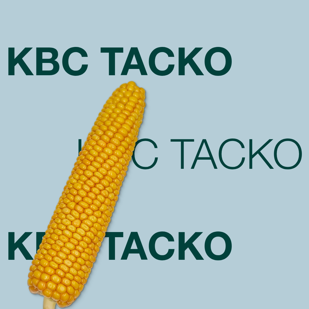 kws_tasko_keyvisual_ua_1x1.jpg