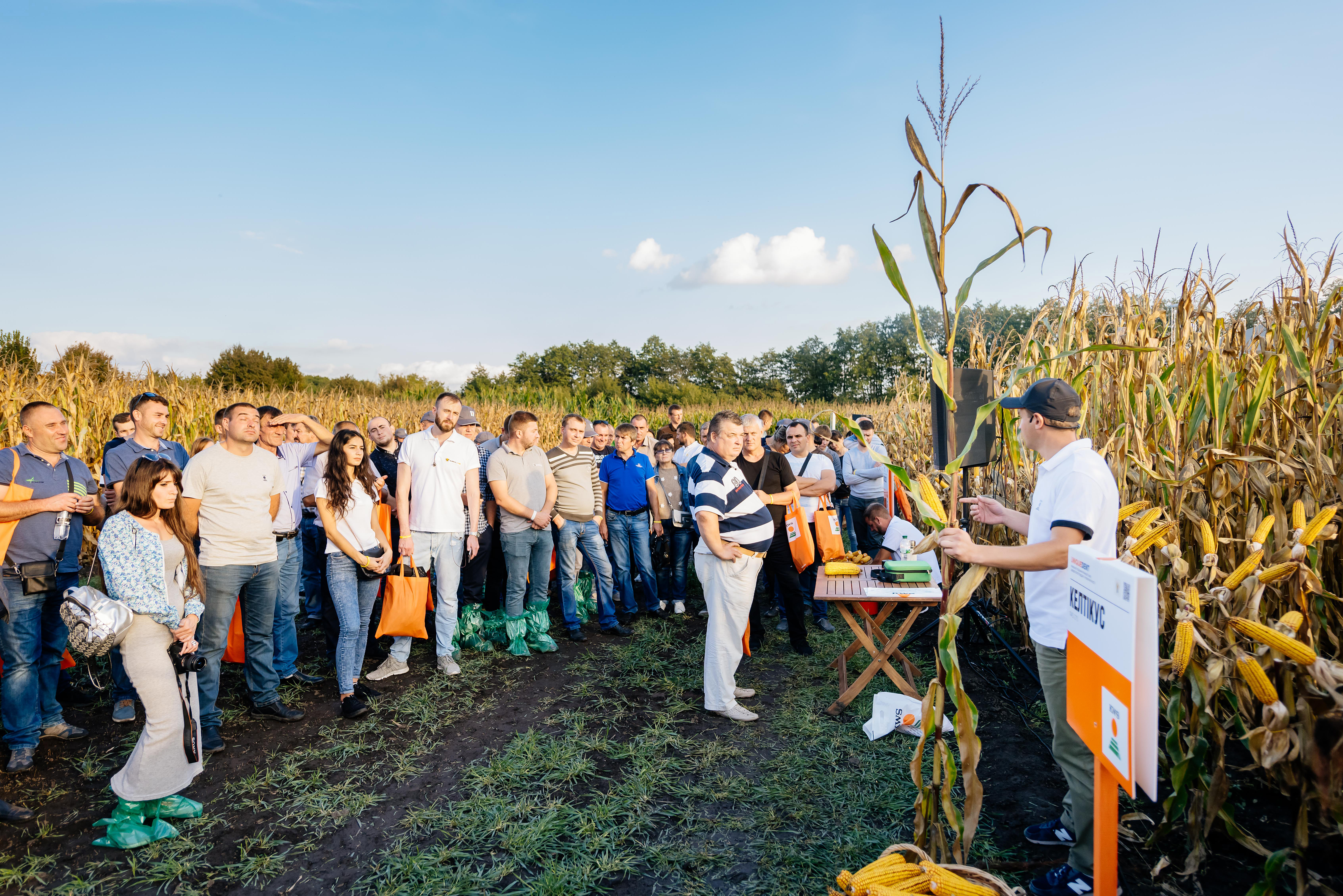 Сергій Красновський розповідає про гібриди KWS відвідувачам Нічного Дня поля