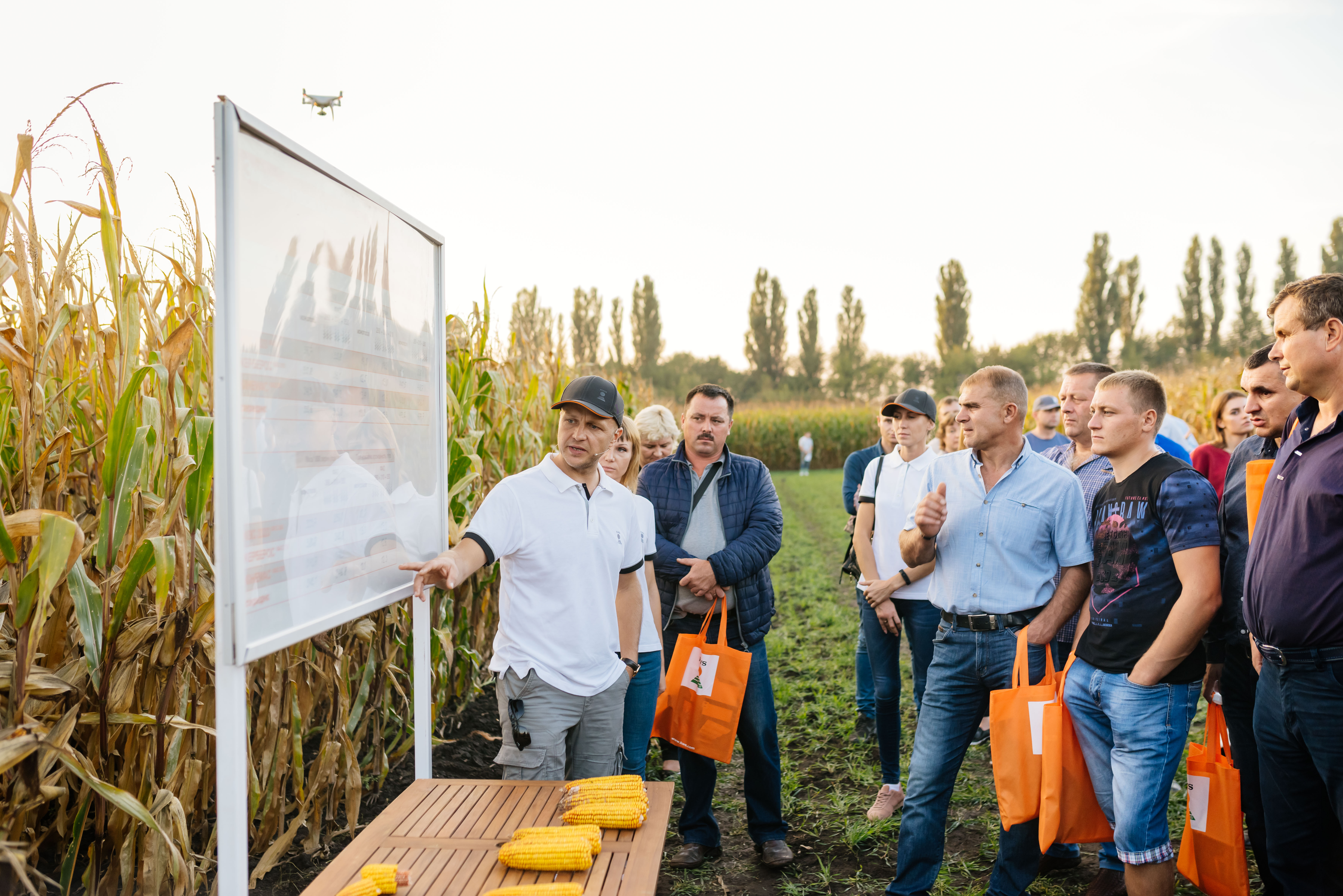 Презентація кременистих гібридів кукурудзи на Нічному Дні поля КВС-УКРАЇНА