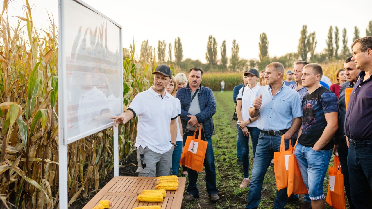 Презентація кременистих гібридів кукурудзи на Нічному Дні поля КВС-УКРАЇНА