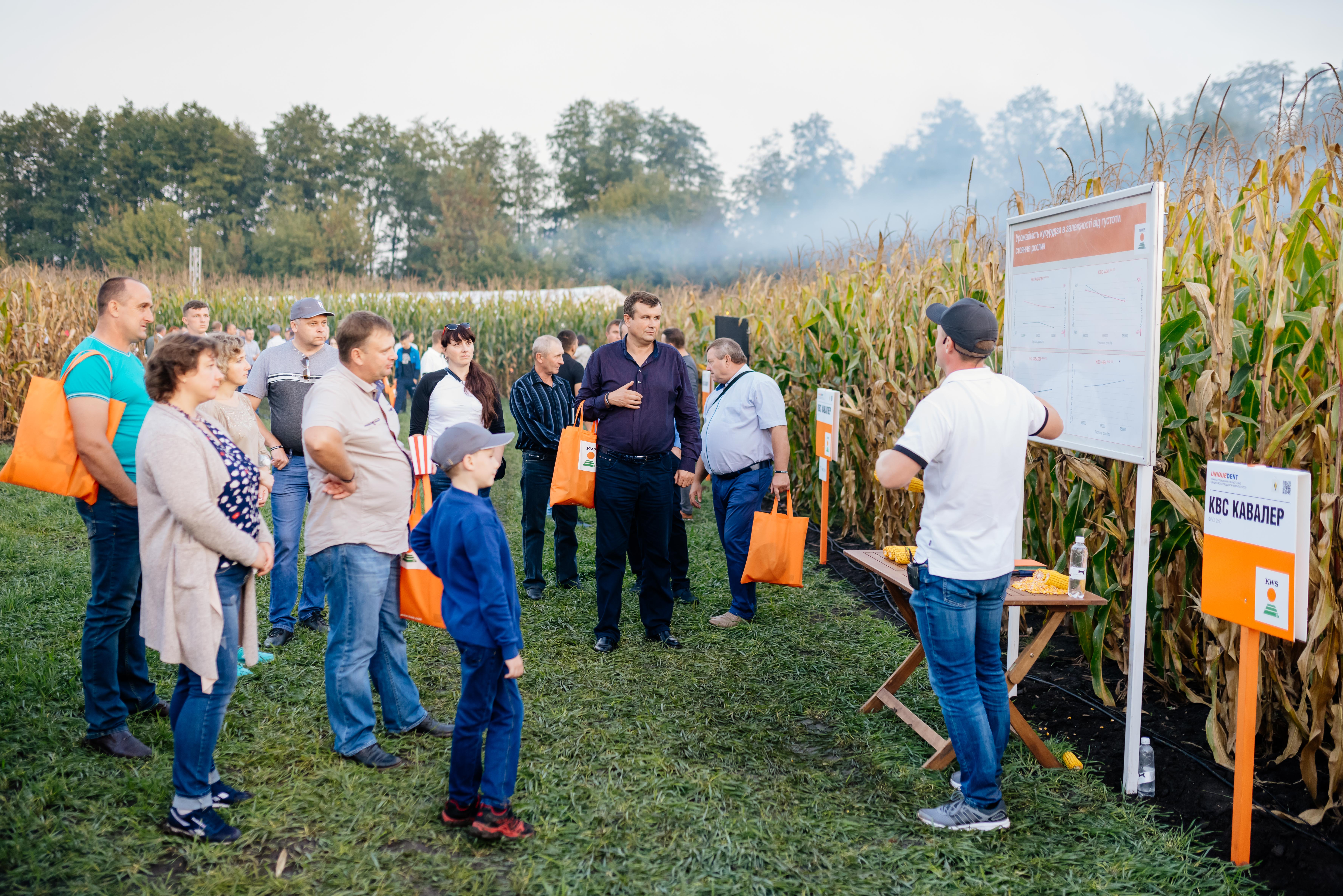 Демонстрація результатів досліду з визначення впливу густоти на формування врожаю кукурудзи на зерно під час Нічного Дня поля КВС-УКРАЇНА