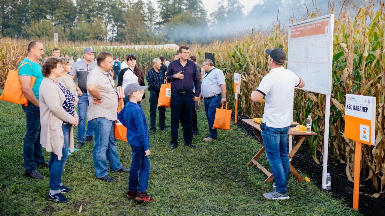 Демонстрація результатів досліду з визначення впливу густоти на формування врожаю кукурудзи на зерно під час Нічного Дня поля КВС-УКРАЇНА