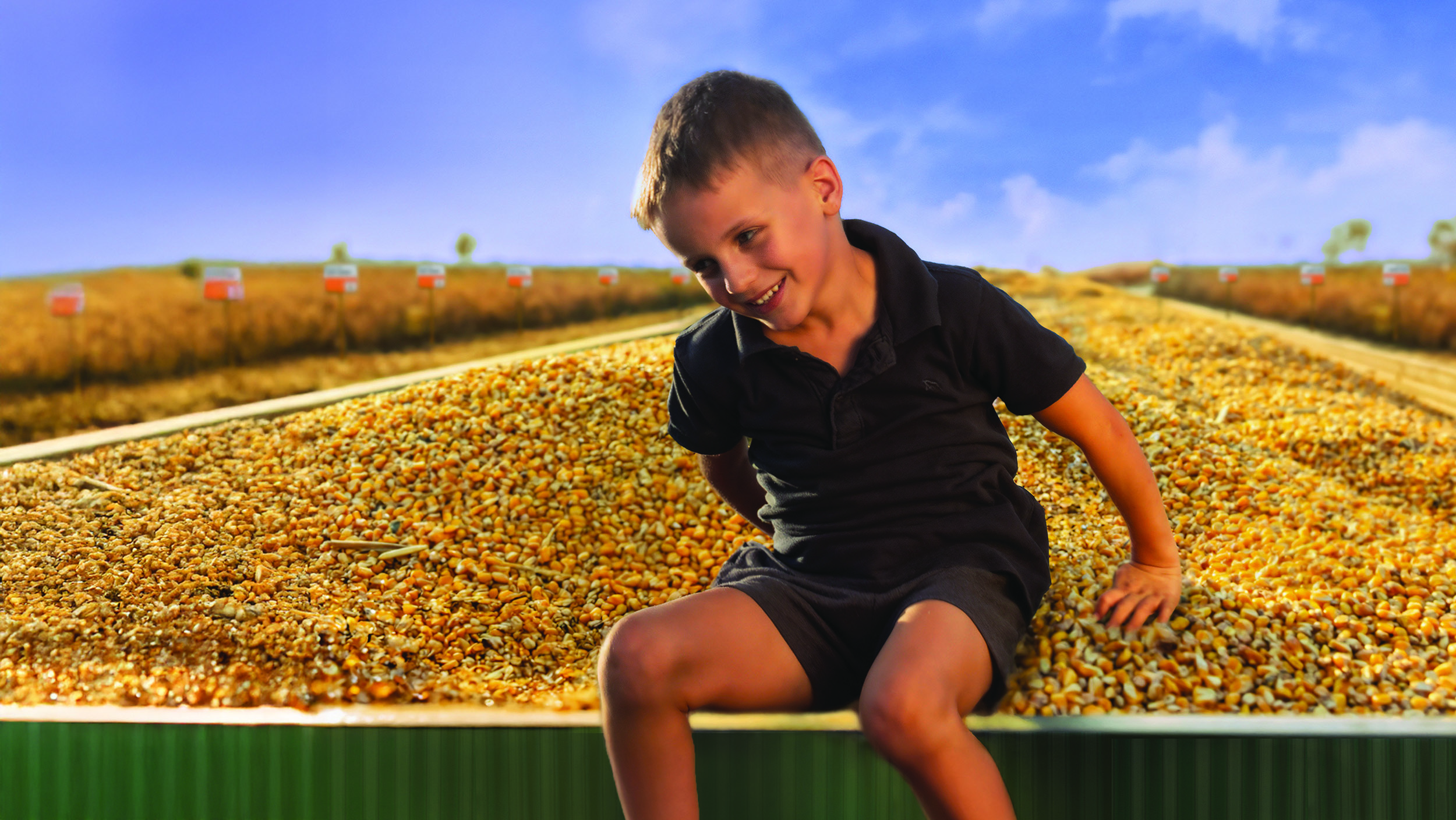 KWS MORE Grain Corn Father and Son