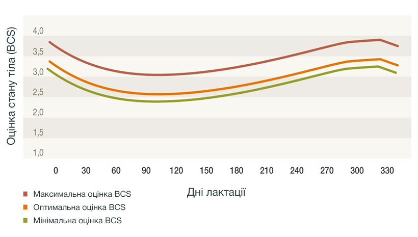 Джерело: власне спостереження