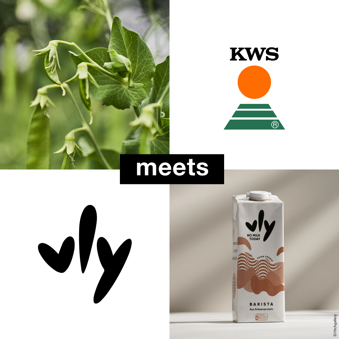 press-picture_kws-meets-vly.png