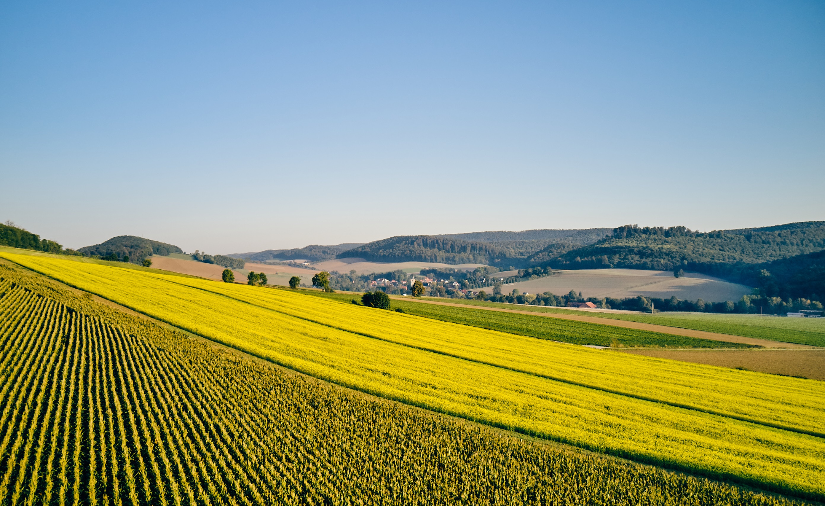 press-picture_landscape-with-fields-and-crop-rotation_(c)kws.jpg