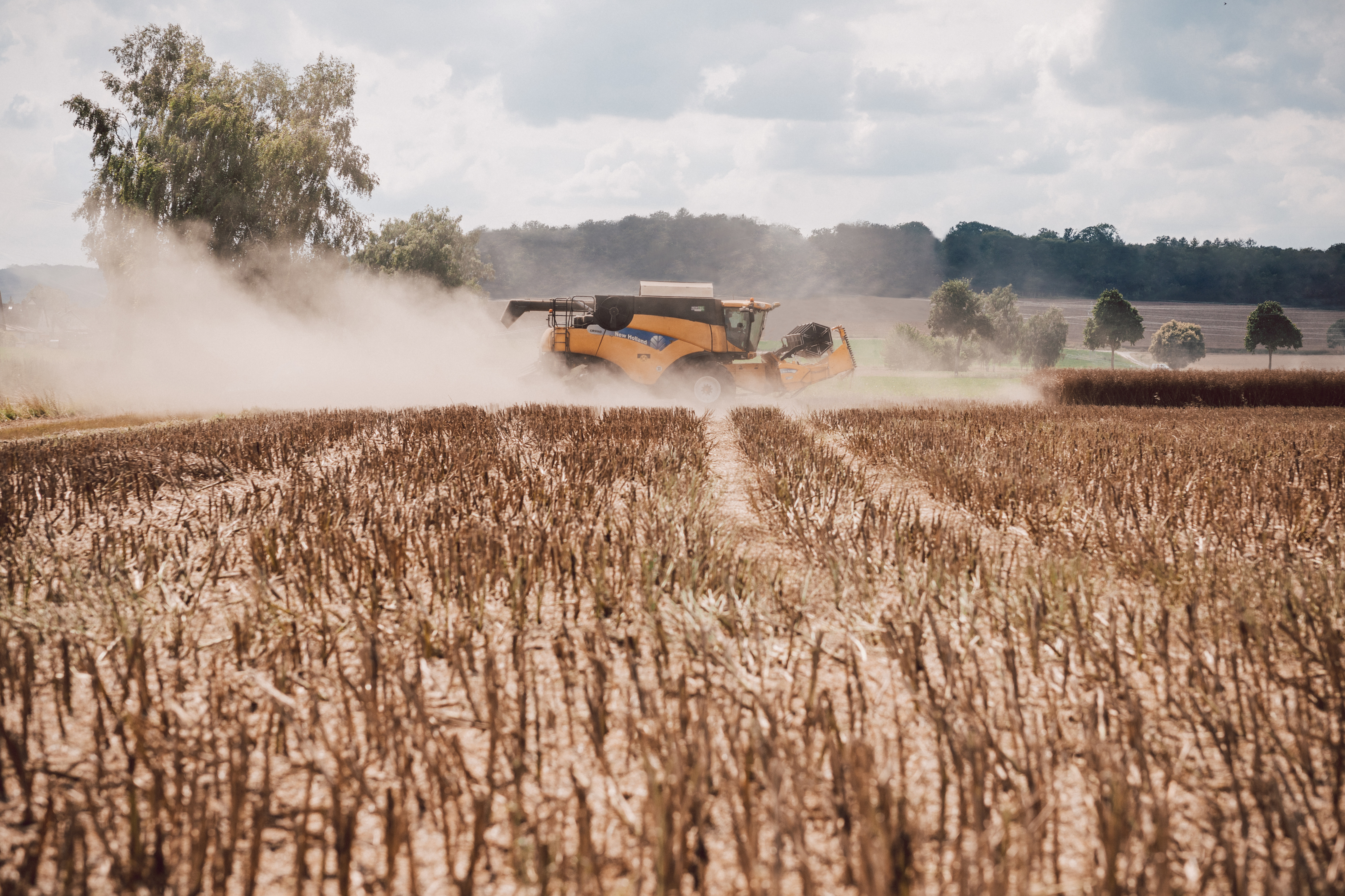 kws0720_canola_harvest_combine_harvester_057.jpg