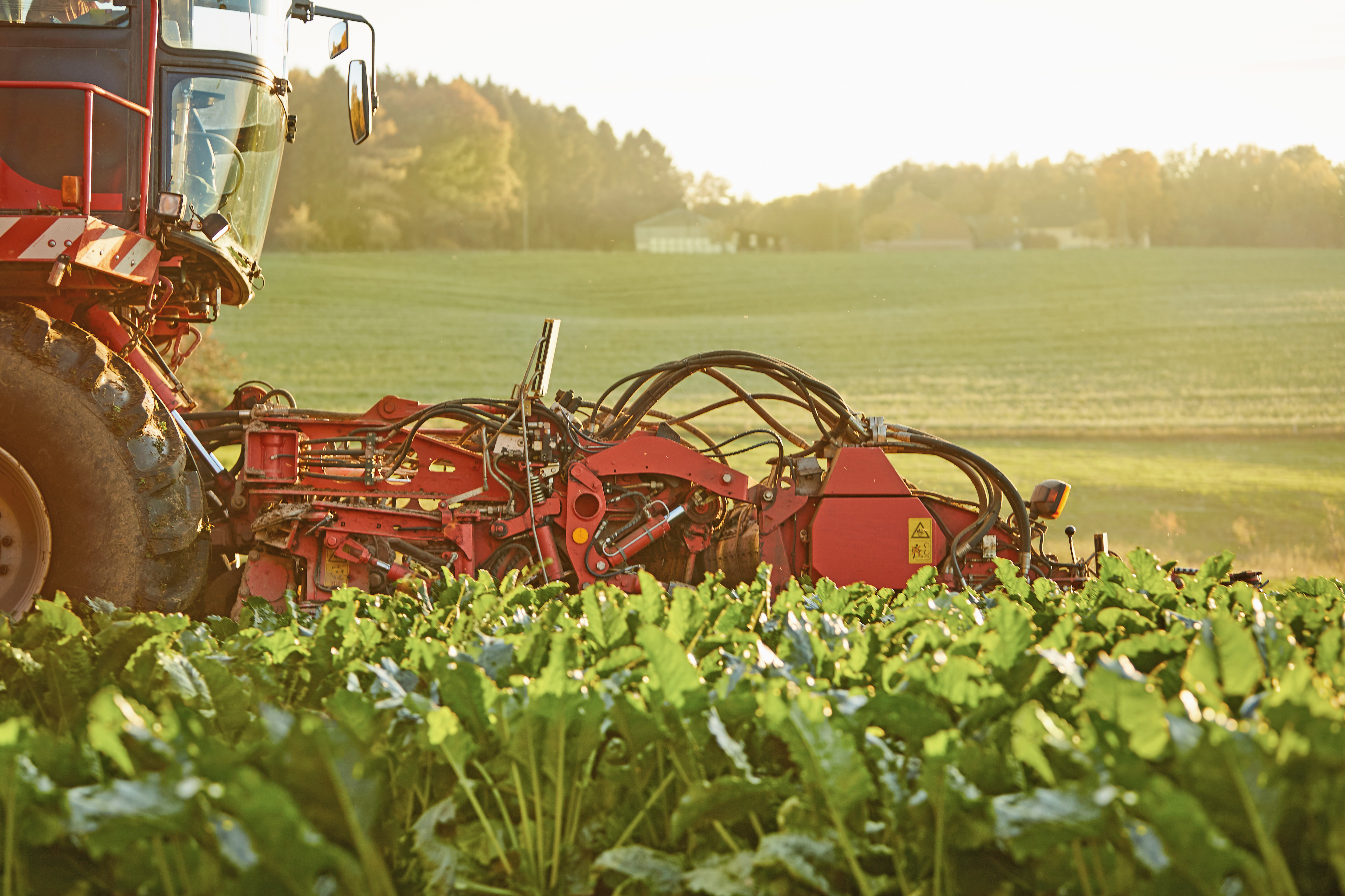 kws2015_beet_harvester_1y8a0259.jpg