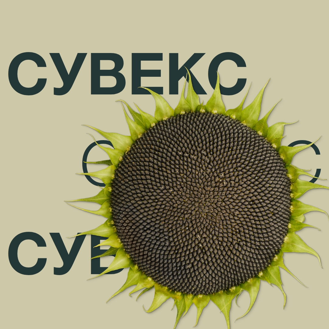 suveks_new.jpg