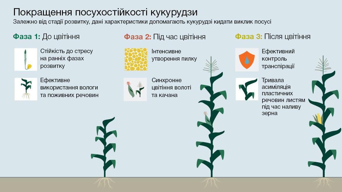 kws_romania_farmer_infographic_ukr.jpg