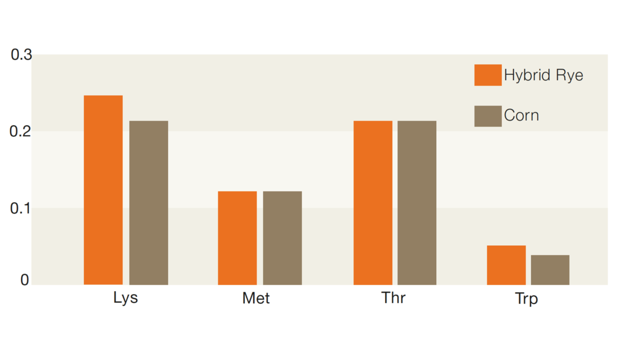 graph-hybrid-rye-for-growing-finishing-pigs-02.png