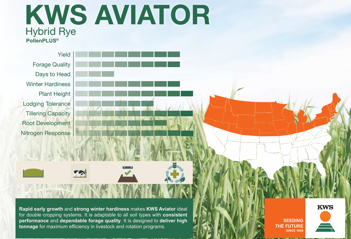 kws aviator