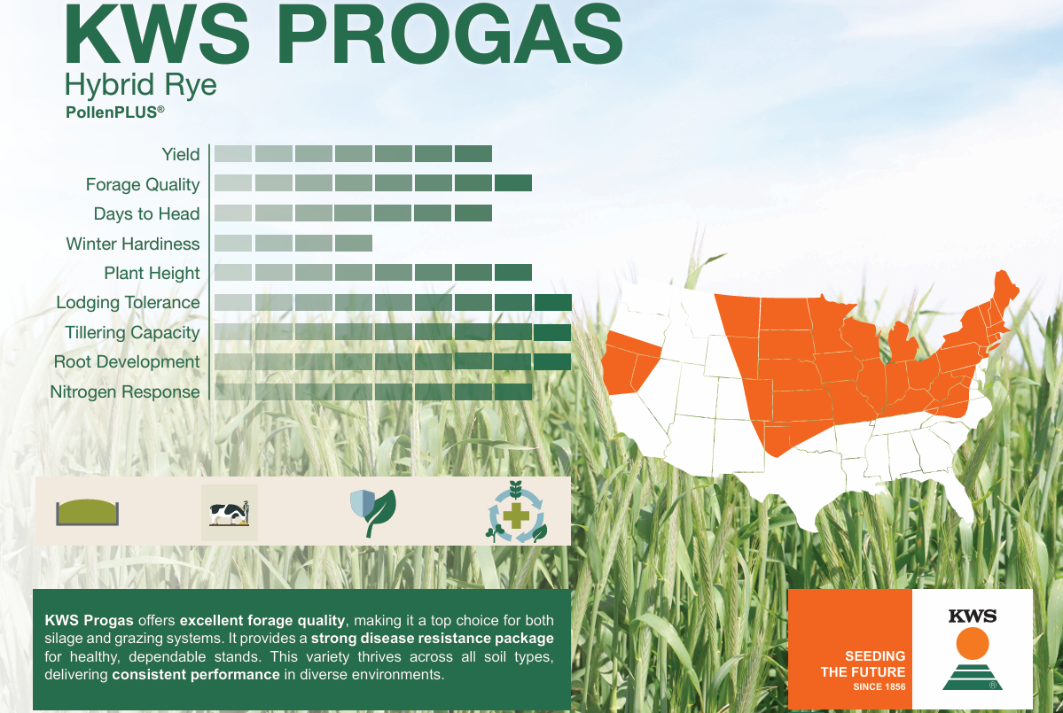 kws progas