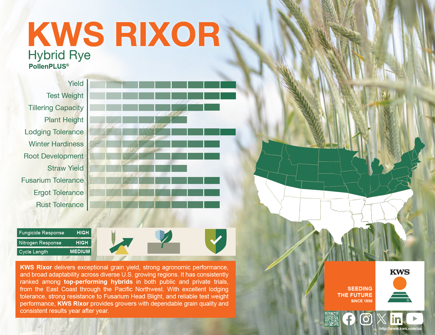 kws rixor
