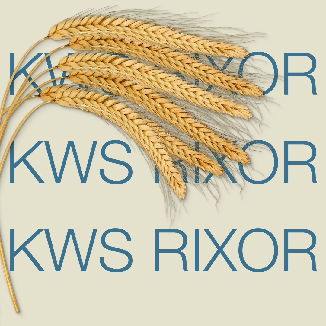 KWS RIXOR
